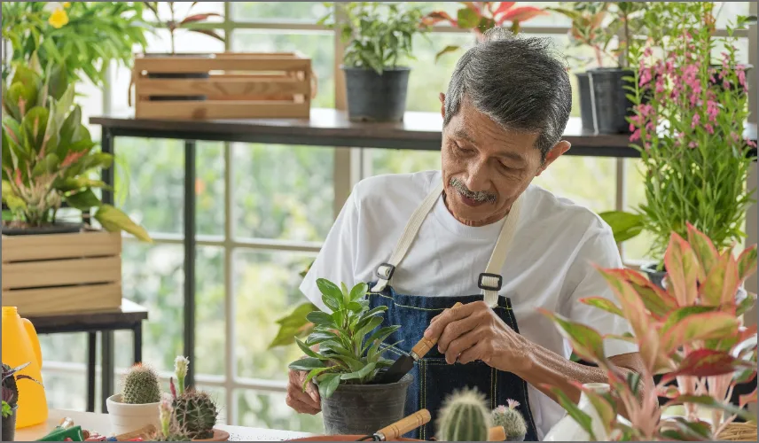 senior man doing gardening at golden valley senior living services